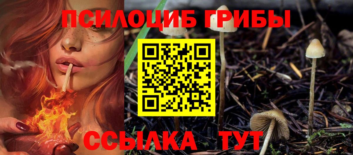 Канабис Ленинск-Кузнецкий